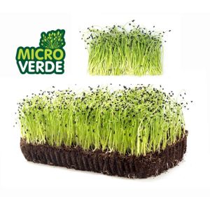 Sementes De Microverdes Alho Poró Topseed - 500g