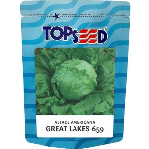 Sementes De Alface Americana Great Lakes 659 Topseed - 50g