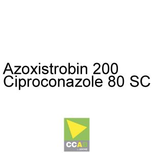 Fungicida Azoxistrobina 200, Ciproconazole 80 Sc Ccab - 5 Litros
