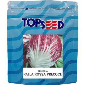 Sementes De Chicória Palla Rossa Precoce Topseed - 100g