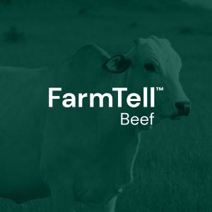 FarmTell Beef