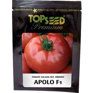 Sementes De Tomate Salada Det. Híbrido Apolo F1 Topseed Premium - 1mx