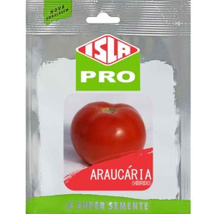 Sementes De Tomate Híbrido Araucária Salada Isla - Envelope C/100 Sem