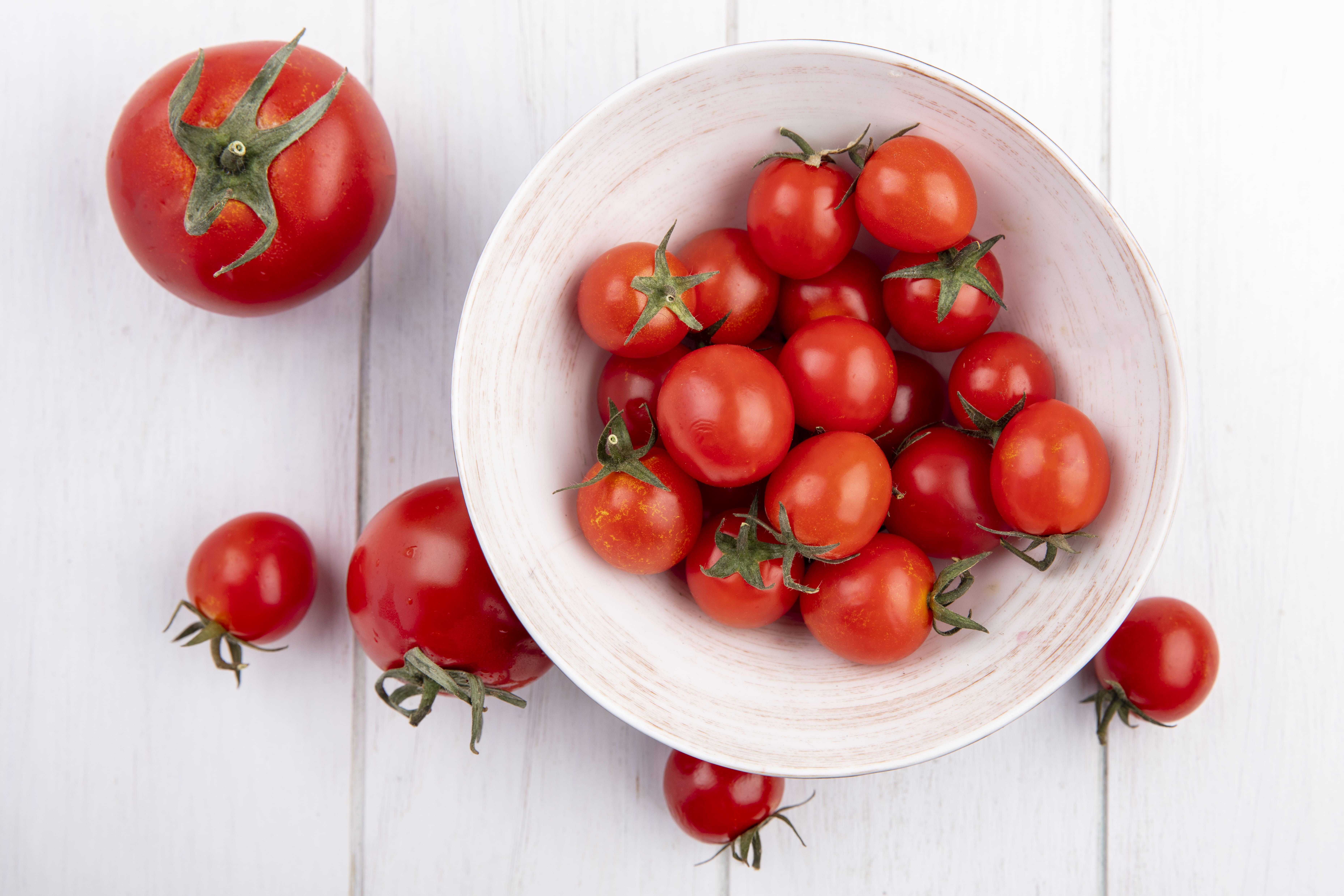 Plantar Tomates